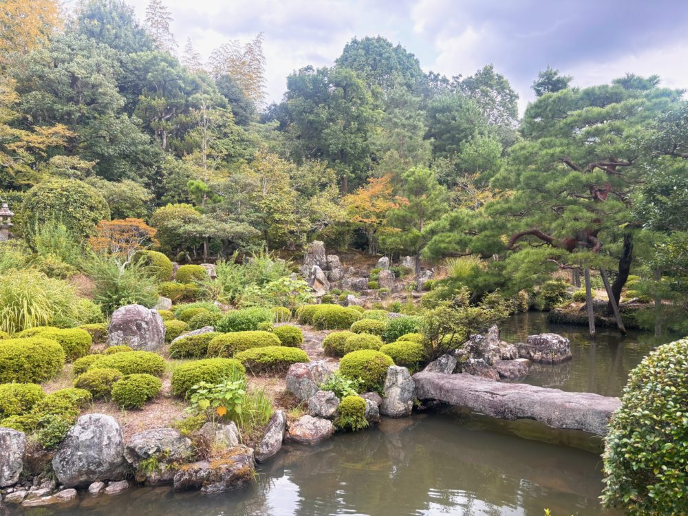 散歩日（等持院、龍安寺）